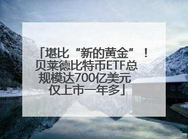 堪比“新的黄金”！贝莱德比特币ETF总规模达700亿美元 仅上市一年多