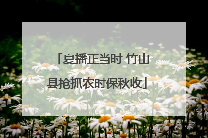 夏播正当时 竹山县抢抓农时保秋收