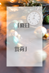 夏日赏荷