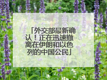 外交部最新确认！正在迅速撤离在伊朗和以色列的中国公民