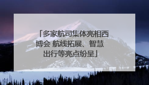 多家航司集体亮相西博会 航线拓展、智慧出行等亮点纷呈
