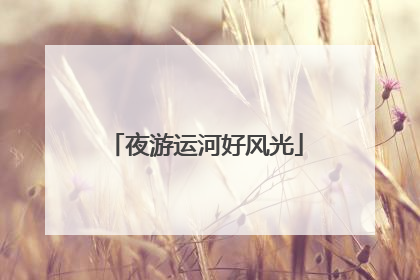 夜游运河好风光