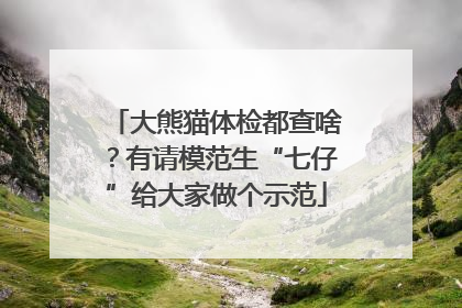 大熊猫体检都查啥？有请模范生“七仔”给大家做个示范