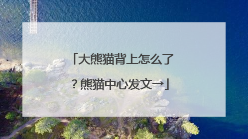大熊猫背上怎么了？熊猫中心发文→