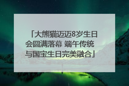 大熊猫迈迈8岁生日会圆满落幕 端午传统与国宝生日完美融合