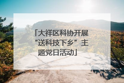 大祥区科协开展“送科技下乡”主题党日活动