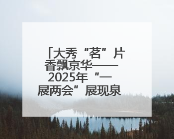 大秀“茗”片 香飘京华——2025年“一展两会”展现泉州茶独特魅力