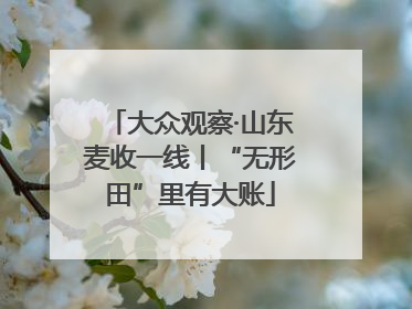 大众观察·山东麦收一线丨“无形田”里有大账