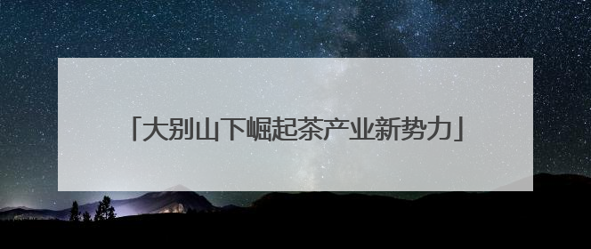 大别山下崛起茶产业新势力