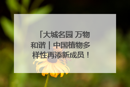 大城名园 万物和谐｜中国植物多样性再添新成员！它只在西藏墨脱