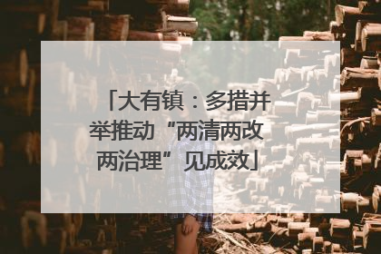 大有镇：多措并举推动“两清两改两治理”见成效