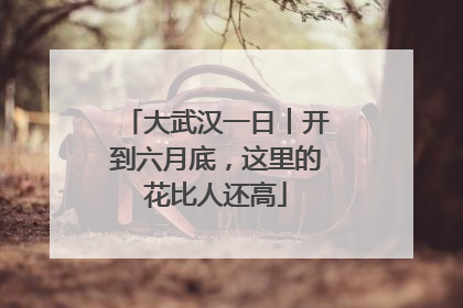 大武汉一日︱开到六月底，这里的花比人还高