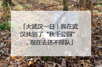 大武汉一日︱我在武汉找到了“秋千公园”，现在去还不排队