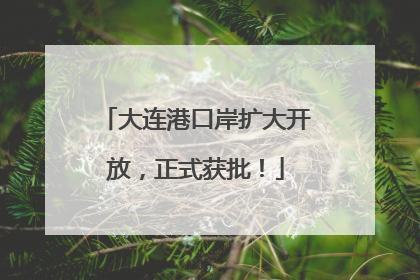大连港口岸扩大开放，正式获批！