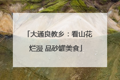 大通良教乡：看山花烂漫 品砂罐美食