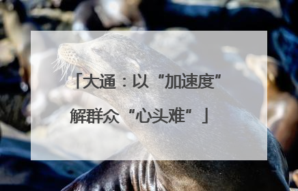 大通：以“加速度”解群众“心头难”