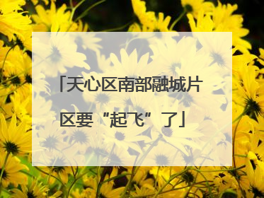 天心区南部融城片区要“起飞”了