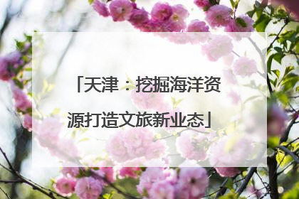 天津：挖掘海洋资源打造文旅新业态