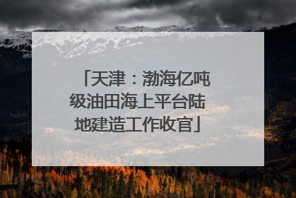 天津：渤海亿吨级油田海上平台陆地建造工作收官
