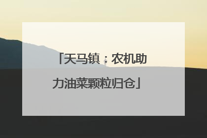 天马镇：农机助力油菜颗粒归仓