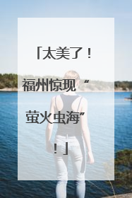 太美了！福州惊现“萤火虫海”！