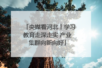 央媒看河北丨学习教育走深走实 产业集群向新向好