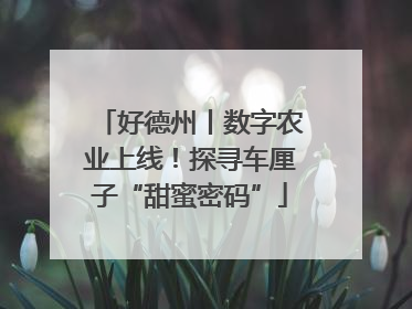 好德州丨数字农业上线！探寻车厘子“甜蜜密码”