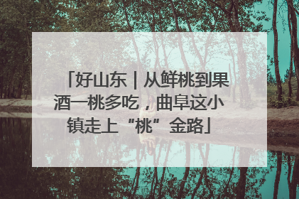 好山东｜从鲜桃到果酒一桃多吃，曲阜这小镇走上“桃”金路
