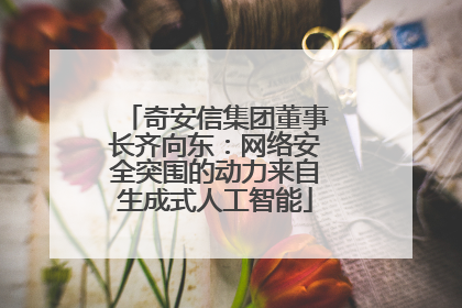 奇安信集团董事长齐向东：网络安全突围的动力来自生成式人工智能