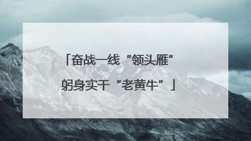 奋战一线“领头雁” 躬身实干“老黄牛”