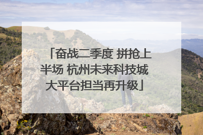 奋战二季度 拼抢上半场 杭州未来科技城大平台担当再升级