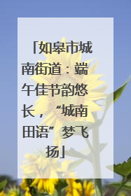 如皋市城南街道：端午佳节韵悠长，“城南田语”梦飞扬