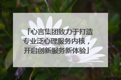 心言集团致力于打造专业泛心理服务内核，开启创新服务新体验