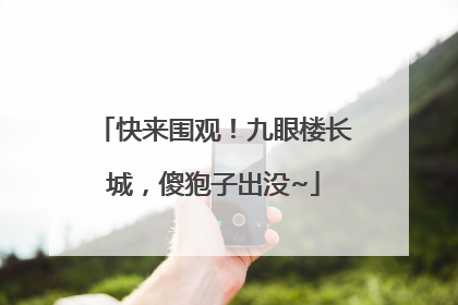 快来围观！九眼楼长城，傻狍子出没~