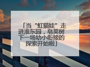 当“虹猫娃”走进淮东园，皂荚树下一场幼小衔接的探索开始啦