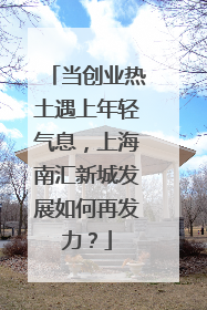 当创业热土遇上年轻气息，上海南汇新城发展如何再发力？