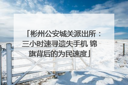 彬州公安城关派出所：三小时速寻遗失手机 锦旗背后的为民速度
