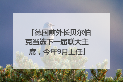 德国前外长贝尔伯克当选下一届联大主席，今年9月上任