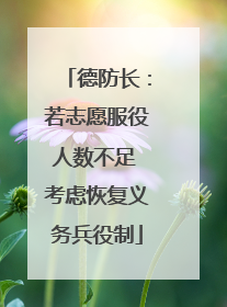 德防长：若志愿服役人数不足 考虑恢复义务兵役制