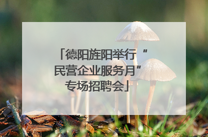 德阳旌阳举行“民营企业服务月”专场招聘会
