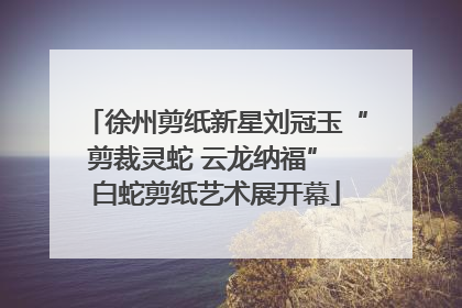 徐州剪纸新星刘冠玉“剪裁灵蛇 云龙纳福” 白蛇剪纸艺术展开幕