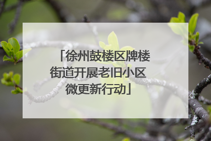 徐州鼓楼区牌楼街道开展老旧小区微更新行动