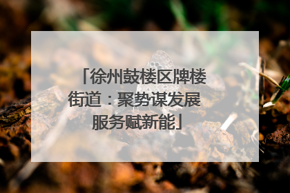 徐州鼓楼区牌楼街道：聚势谋发展 服务赋新能