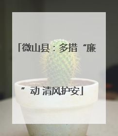 微山县：多措“廉”动 清风护安