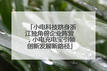 小电科技跻身浙江独角兽企业阵营，小电充电宝引领创新发展新路径