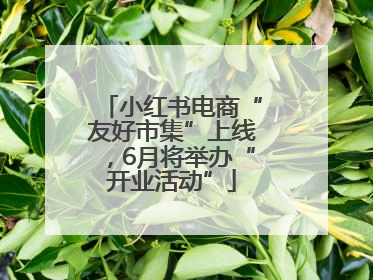 小红书电商“友好市集”上线，6月将举办“开业活动”