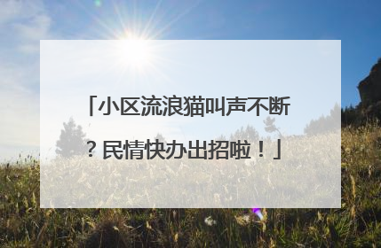 小区流浪猫叫声不断？民情快办出招啦！