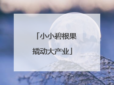 小小碧根果撬动大产业