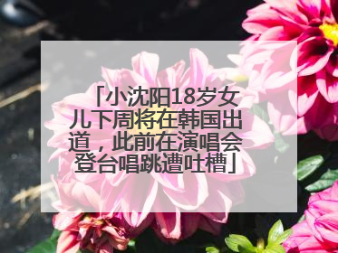 小沈阳18岁女儿下周将在韩国出道，此前在演唱会登台唱跳遭吐槽