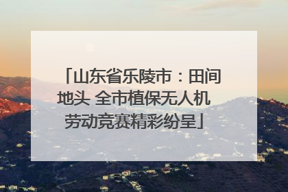 山东省乐陵市：田间地头 全市植保无人机劳动竞赛精彩纷呈